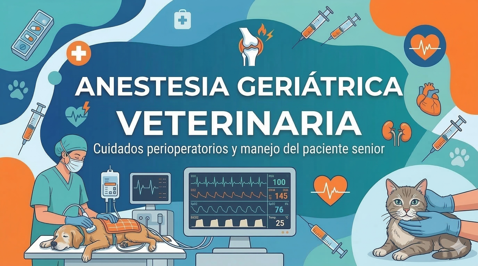 Anestesia Inhalatoria en Pacientes Geriátricos: Protocolos Seguros y Equipos Esenciales