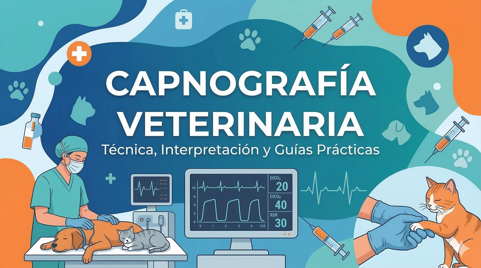 Capnografía (EtCO2): El Salvavidas Silencioso en el Quirófano Veterinario y su Interpretación